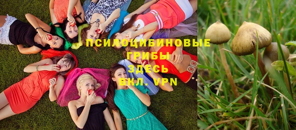 гидропоника Абаза