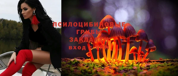 мдпв Алзамай