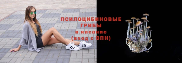 гидропоника Абаза