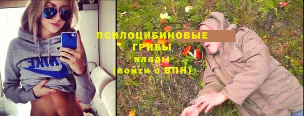 гидропоника Абаза