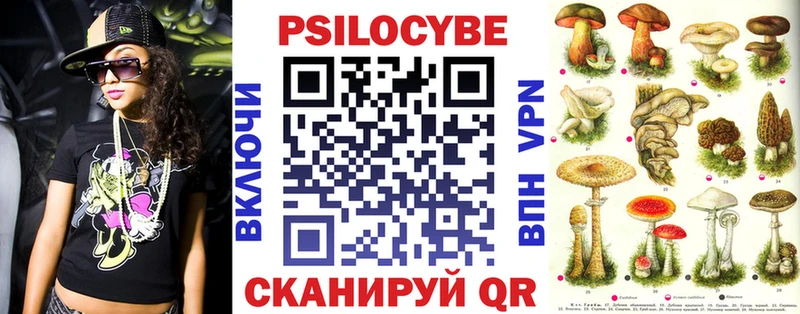 купить закладку  Жердевка  Галлюциногенные грибы Psilocybe 